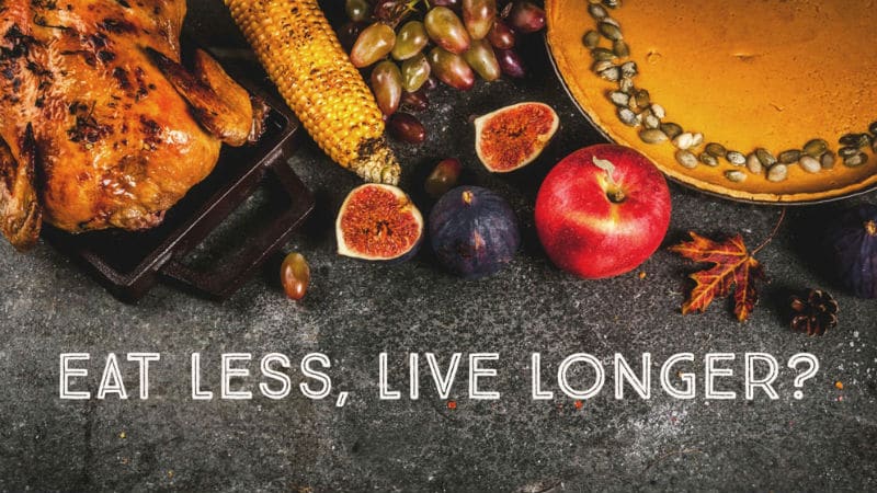 Eat Less Live Longer